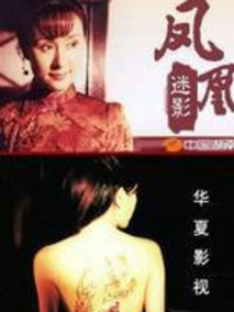 凤凰迷影海报