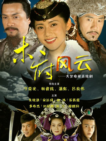 木府风云海报