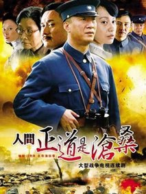 人间正道是沧桑海报