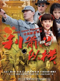 利箭纵横海报