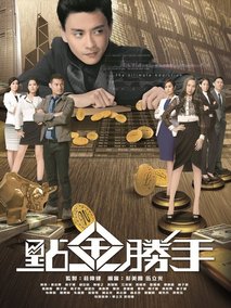 点金胜手海报