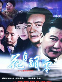 花自飘零海报