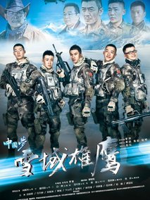 雪域雄鹰海报