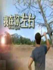 我在你左右海报