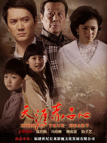 天涯赤子心海报