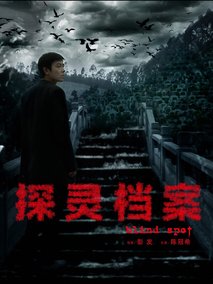 探灵档案海报