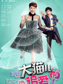 大猫儿追爱记海报