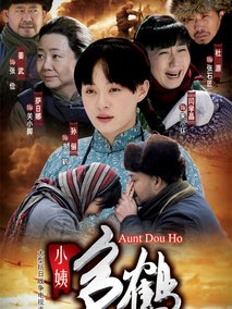 小姨多鹤海报