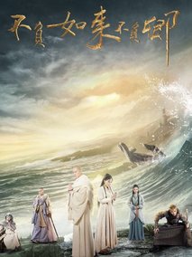 不负如来不负卿海报