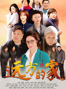 远方的家海报