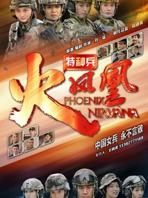 特种兵之火凤凰海报