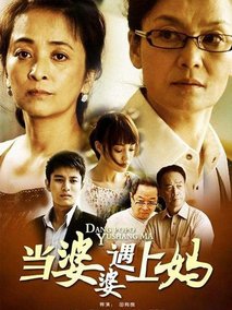 当婆婆遇上妈海报