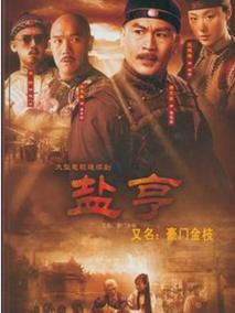 盐亨海报