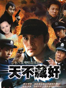 天不藏奸海报