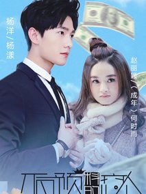 不可预料的恋人海报