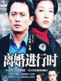 离婚进行时海报