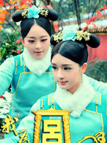 我为宫狂海报