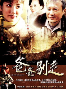 爸爸别走海报