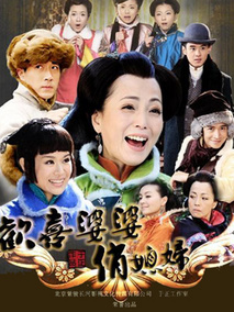 欢喜婆婆俏媳妇海报