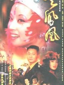火凤凰海报