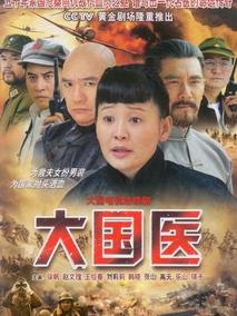 大国医海报