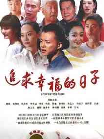 追求幸福的日子海报