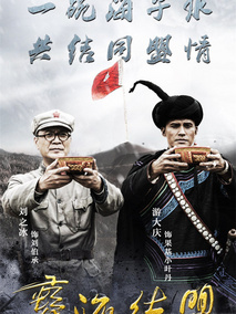 彝海结盟海报
