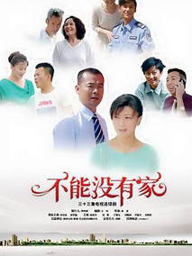 不能没有家海报