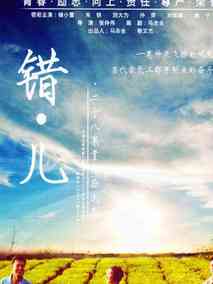 美丽错儿海报