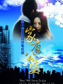 家有公婆海报