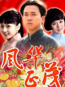 风华正茂海报