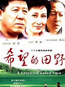 希望的田野海报