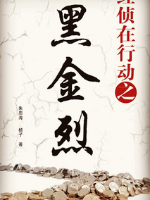 经侦在行动之黑金烈海报