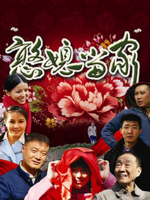 憨媳当家海报