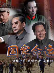 国家命运海报