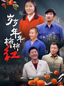 岁岁年年柿柿红海报