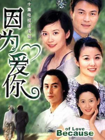因为爱你海报