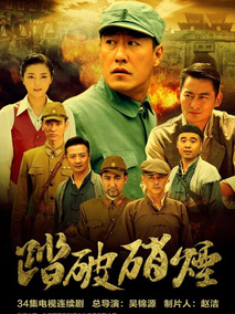 踏破硝烟海报