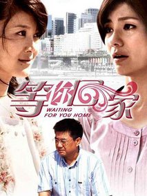 我在等你回家海报