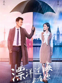 漂洋过海来看你海报