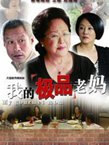 我的极品老妈海报