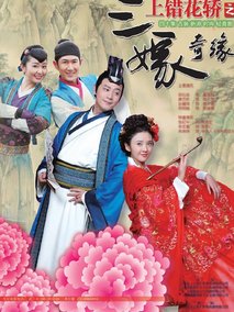 上错花轿之三嫁奇缘海报