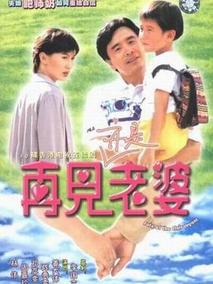 再见亦是老婆海报