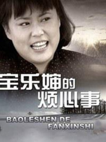 宝乐婶的烦心事海报