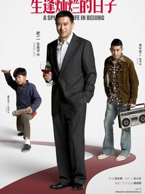 生逢灿烂的日子海报
